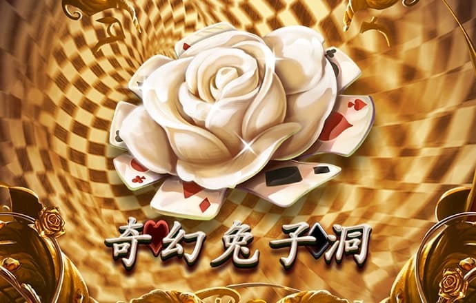 9944天下彩网开奖入口一